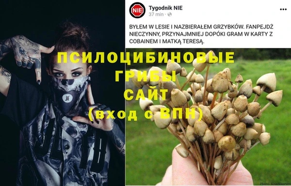ПСИЛОЦИБИНОВЫЕ ГРИБЫ Горнозаводск