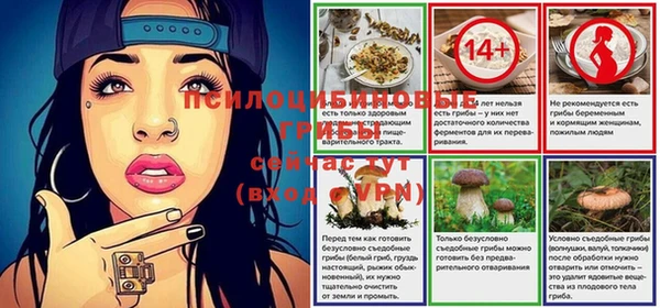 ПСИЛОЦИБИНОВЫЕ ГРИБЫ Горнозаводск