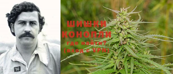 ПСИЛОЦИБИНОВЫЕ ГРИБЫ Горнозаводск