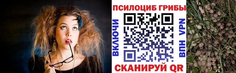 Купить  Белогорск  Псилоцибиновые грибы прущие грибы 